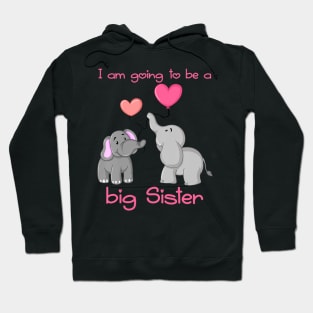 Kids I am going to be a big sister Hoodie